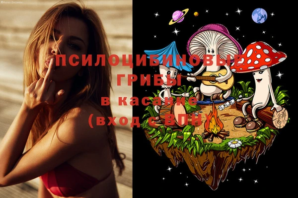 прущие крисы Инта