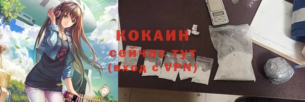 прущие крисы Инта