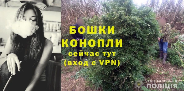 прущие крисы Инта