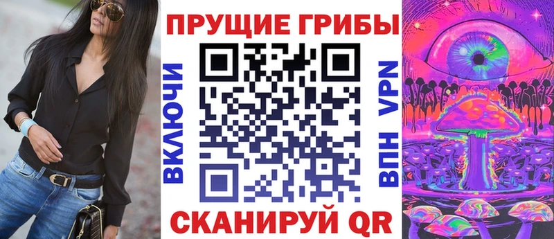 Галлюциногенные грибы MAGIC MUSHROOMS цены Рошаль